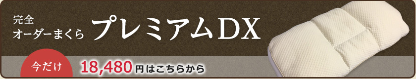 完全オーダーまくらプレミアムDX 今だけ16,800円(税別)はこちらから